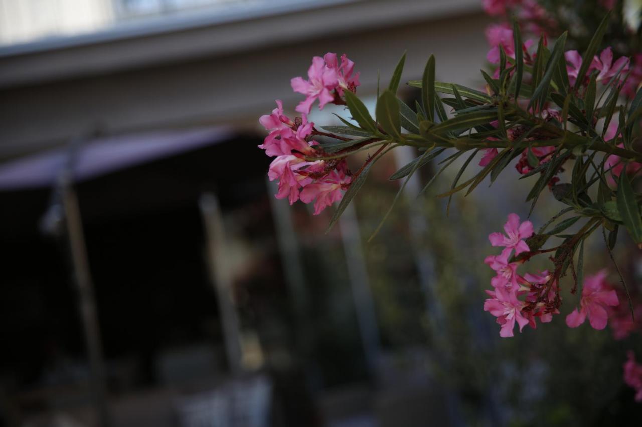 Guest House Lorenta Vodice Kültér fotó